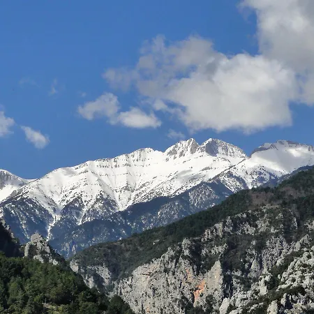 Mirto لِتوخورو